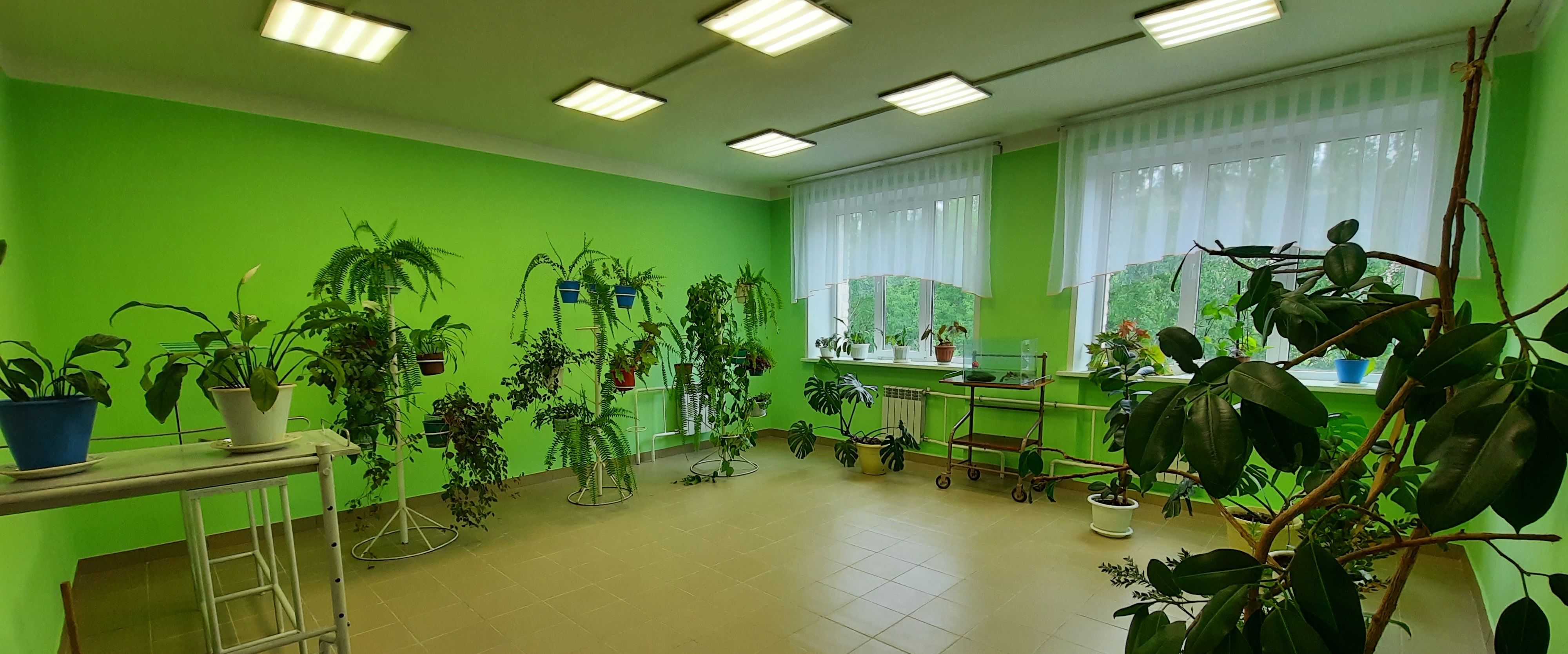 Зелёная комната